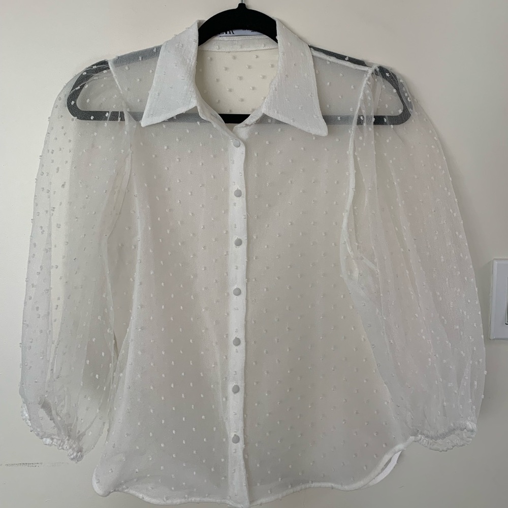 Zara Organza Button Down Blouse